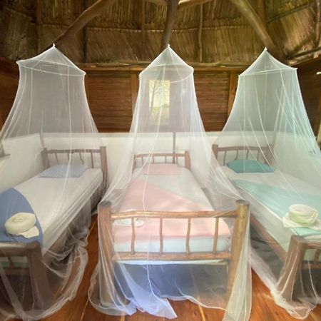 Casa De La Iguana Hostel Lívingston Buitenkant foto