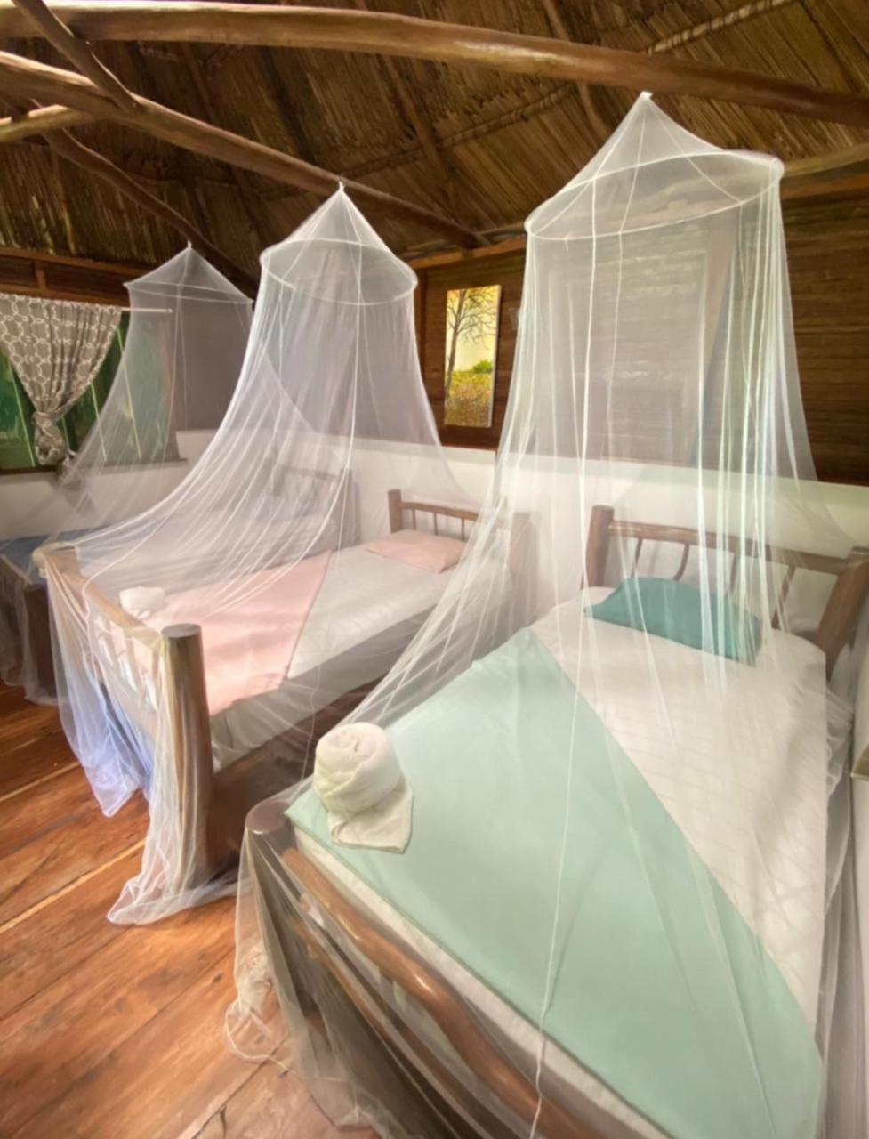 Casa De La Iguana Hostel Lívingston Buitenkant foto