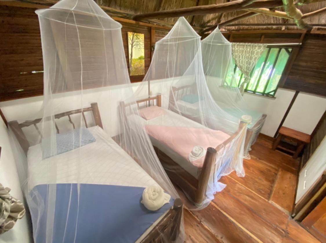 Casa De La Iguana Hostel Lívingston Buitenkant foto